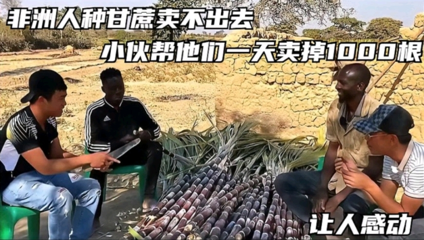 经济日报：别让小问题影响大票房,澳门49选7现场开奖直播,典故解疑_iosV6.70