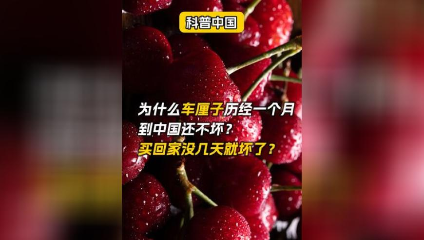 彩联盟澳门天天彩资料,中南民族大学党委书记调整,国产化作答解释落实_体验版V5.65