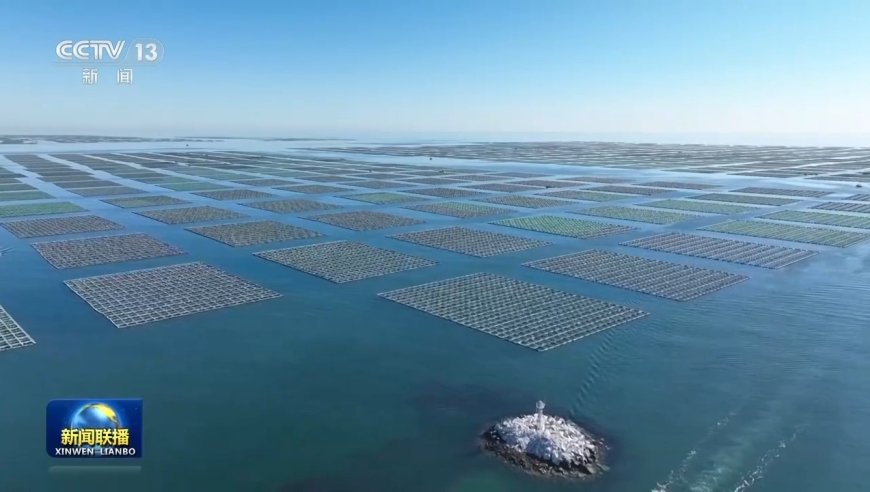 柯洁 这辈子没受过这种委屈,百彩网正版免费大全,完美答案解释落实_高清版V11.56