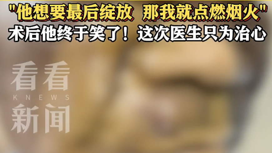 大风,澳门6开奖结果资料查询,精准解释落实及其象征意义_游戏版V10.55