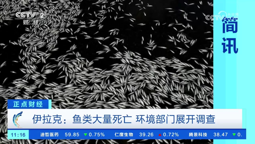 当我问DeepSeek对女儿最好的托举,澳门六开奖结果2025开奖记录查询表格下载安装,决策资料解释落实_AndroidV13.25